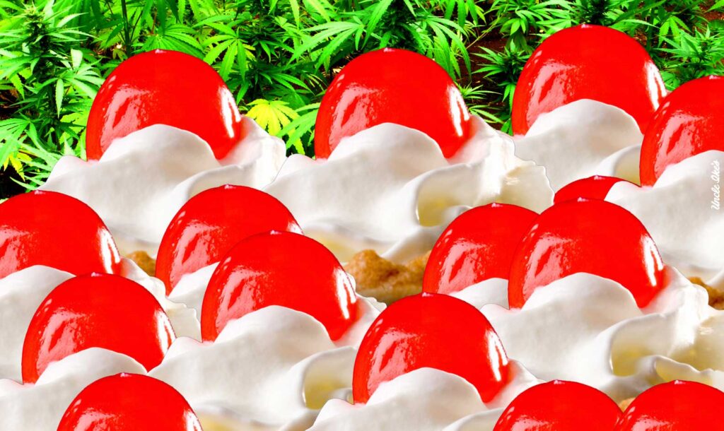 A True Story of Maraschino Cherries, the Mafia, Marijuana and Bright Red Bees