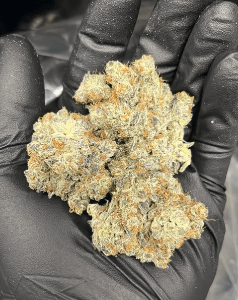 Royal Tree's Gelonade now at Uncle Ike's Pot Shop