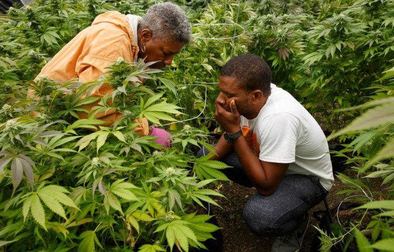 The Hollingsworth Family