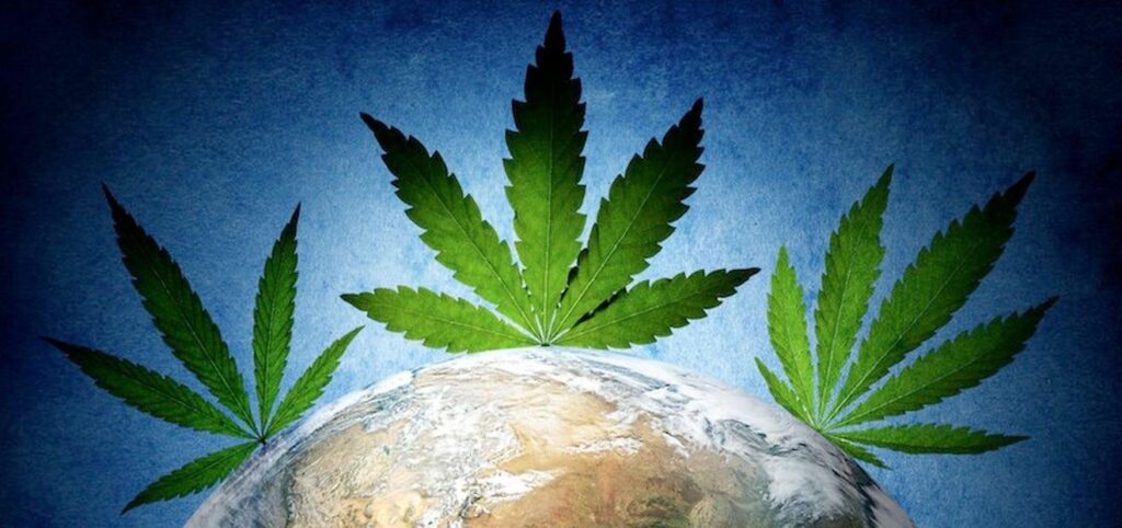 5 Places to Live If You Love Marijuana